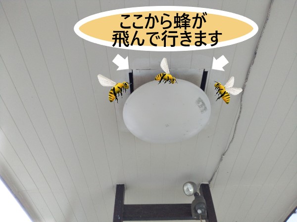 蜂の出入口　玄関庇・照明部